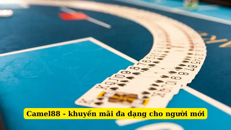 Camel88 - khuyến mãi đa dạng cho người mới